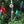 Load image into Gallery viewer, 2025 Ordnance Ornament (Christmas tree ornament)
