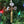 Load image into Gallery viewer, 2025 Ordnance Ornament (Christmas tree ornament)
