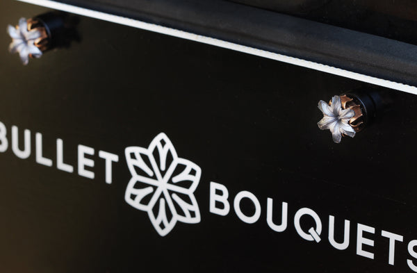 Automotive License Plate Bolts (Bolt Covers), 1 pair